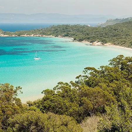 Joli Entre La Et La *